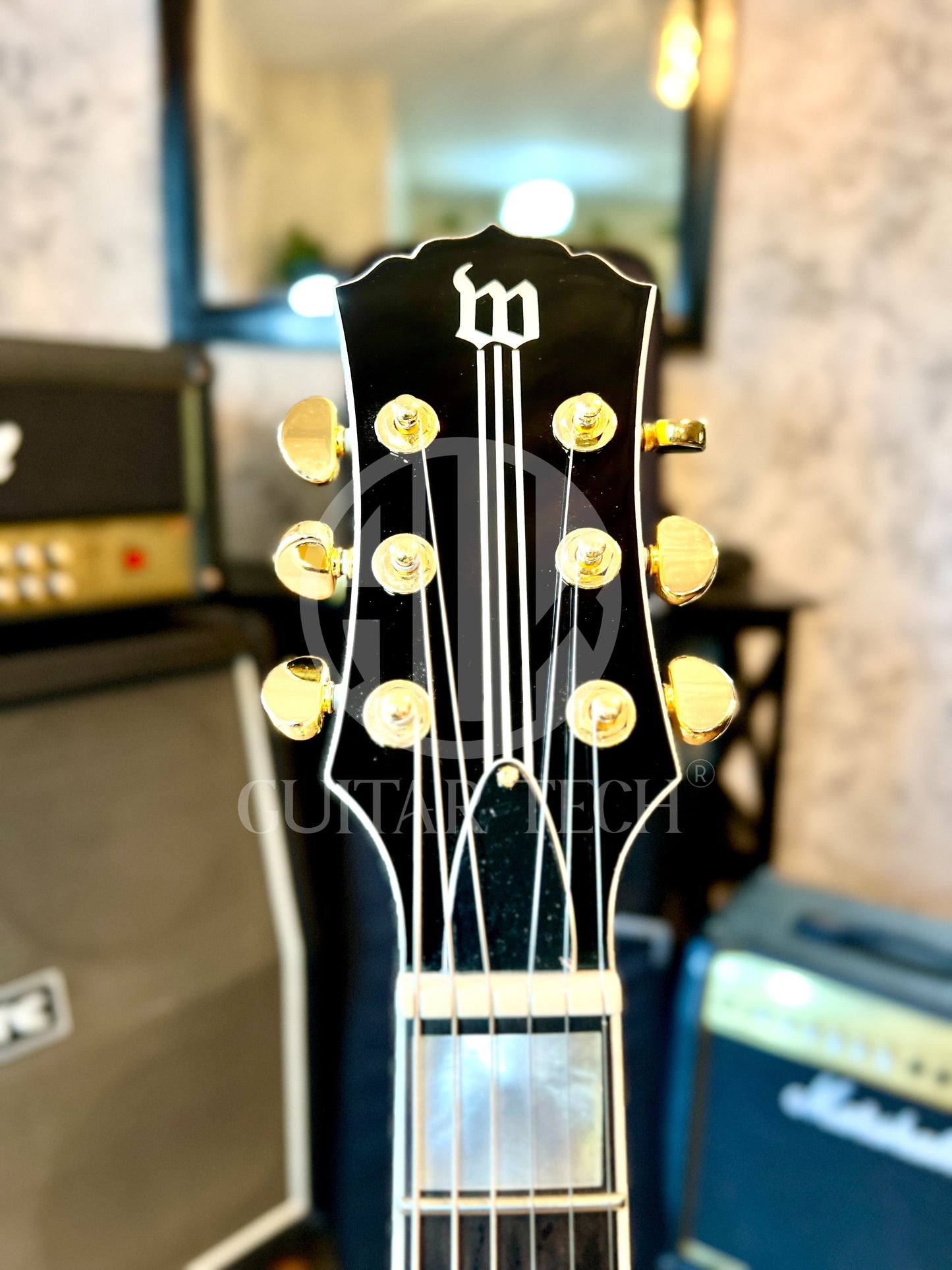 WYLDE AUDIO ZAKK WYLDE ODIN GRAIL GENESIS BULLSEYE + CASE ROAD RUNNER